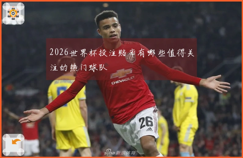 2026世界杯投注赔率有哪些值得关注的热门球队