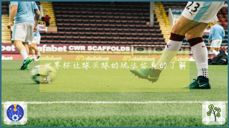 世界杯让球买球的玩法你真的了解吗