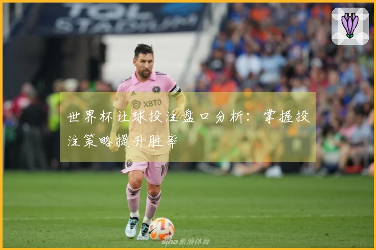 世界杯让球投注盘口分析：掌握投注策略提升胜率