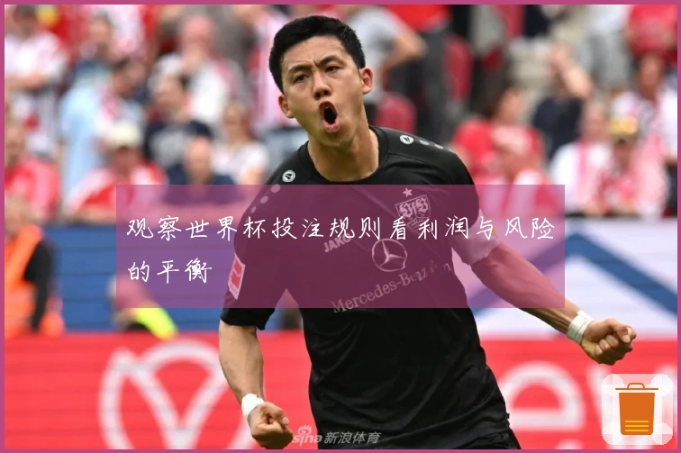观察世界杯投注规则看利润与风险的平衡