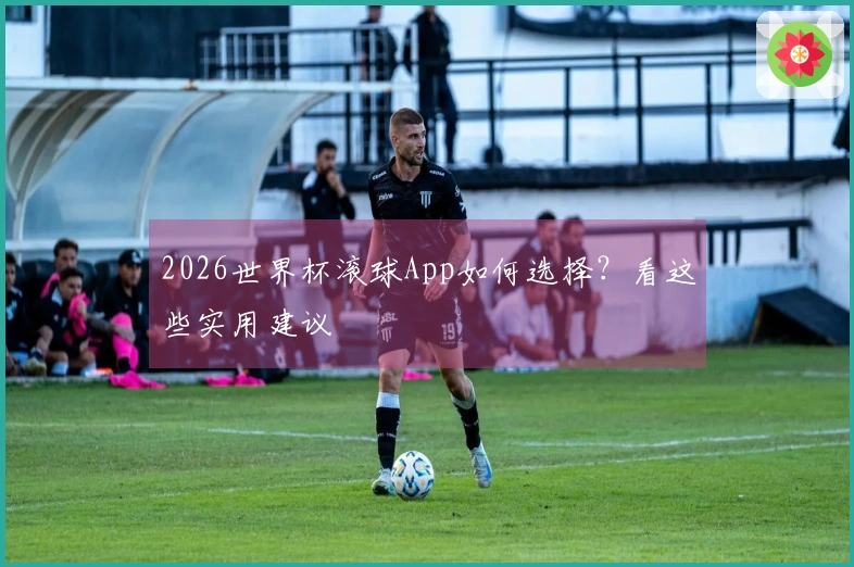 2026世界杯滚球App如何选择？看这些实用建议